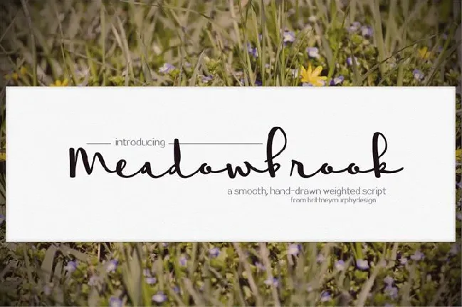 Meadowbrook Free font