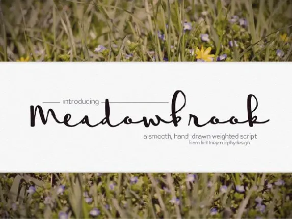 Meadowbrook Free font