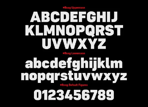 Roag Family font