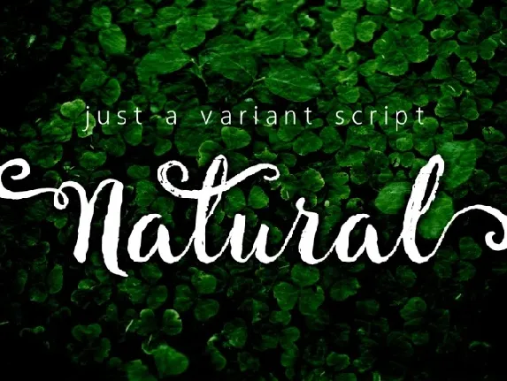 Natural Script Free font