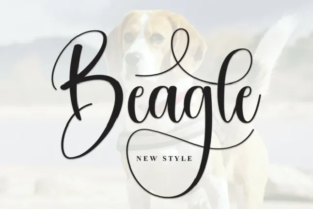 Beagle Calligraphy font