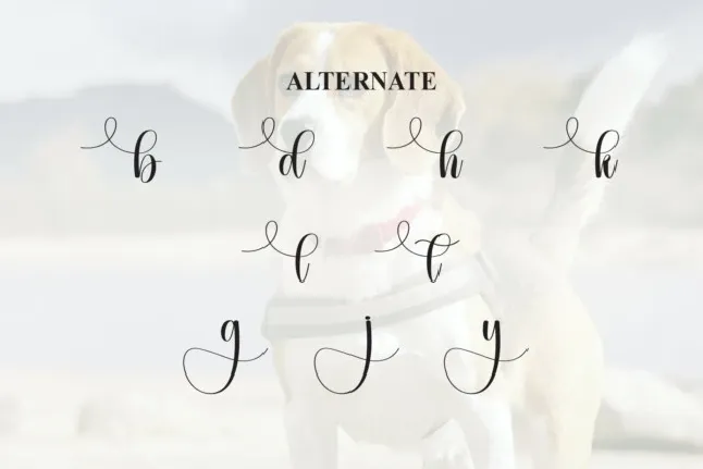 Beagle Calligraphy font