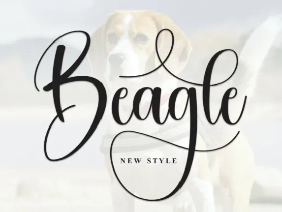 Beagle Calligraphy font