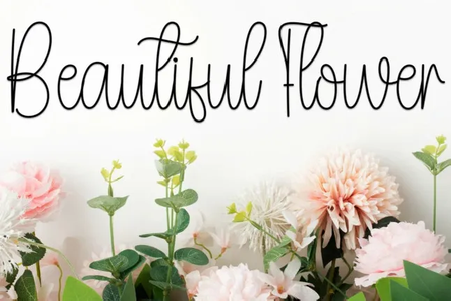 Begonias Script font