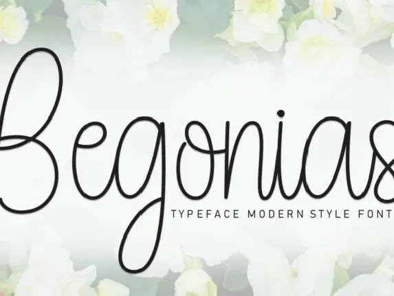 Begonias Script font