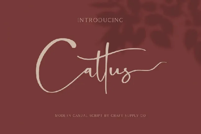 Cattus Script font