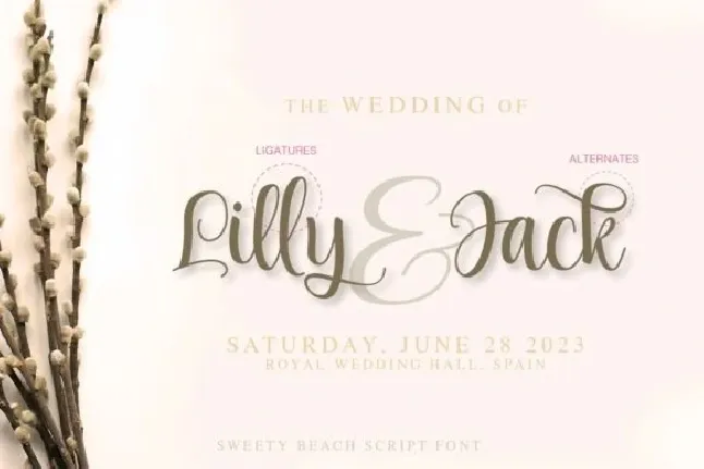 Sweety Beach font