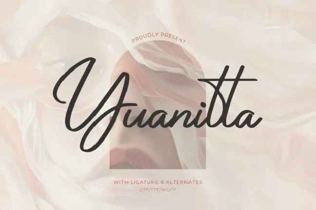 Yuanitta font