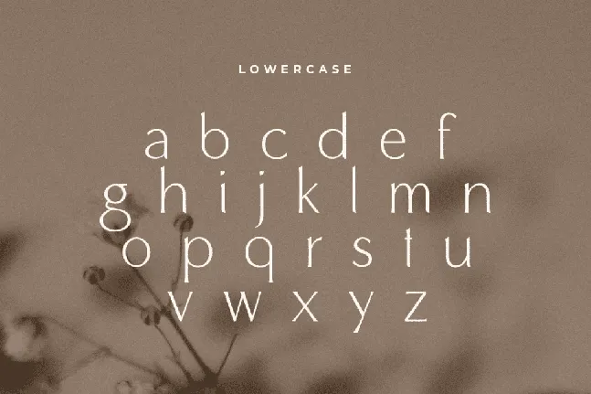 Maguare font