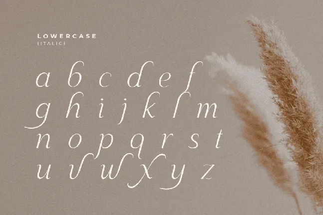 Maguare font