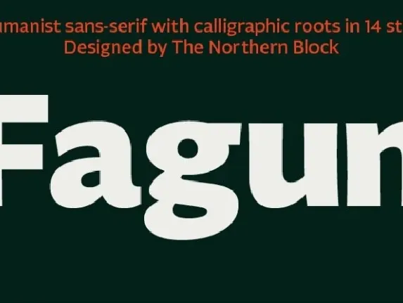 Fagun Family font