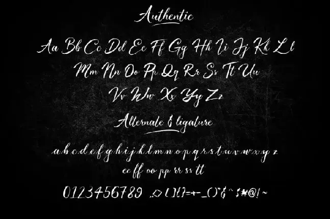 Authentic Brush font