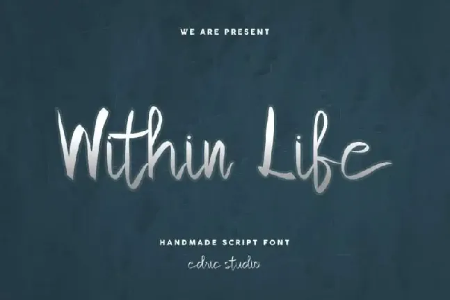 Within Life Handmade Script font