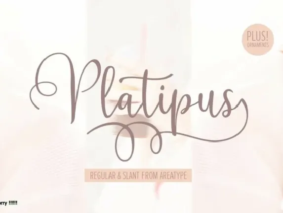 Platipus Script font