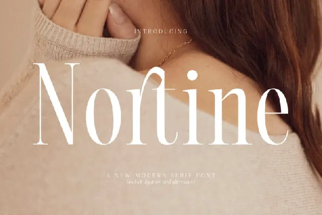 Nortine Typeface font