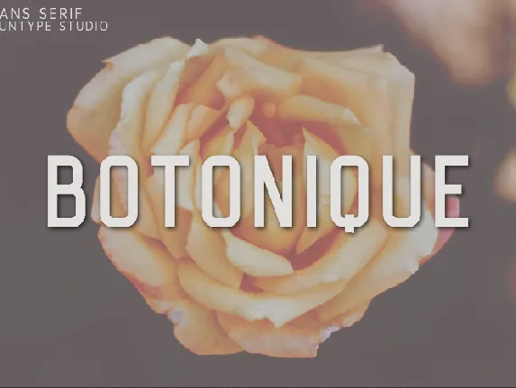 Botonique font