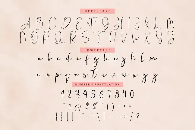 Fanish Signature font