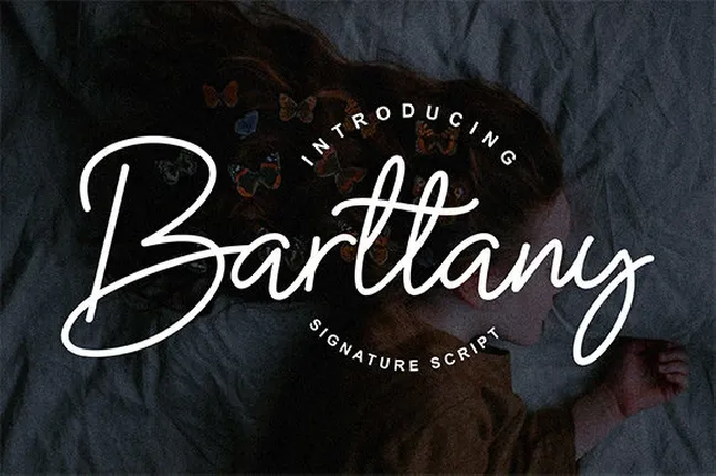 Barttany Monoline Signature font