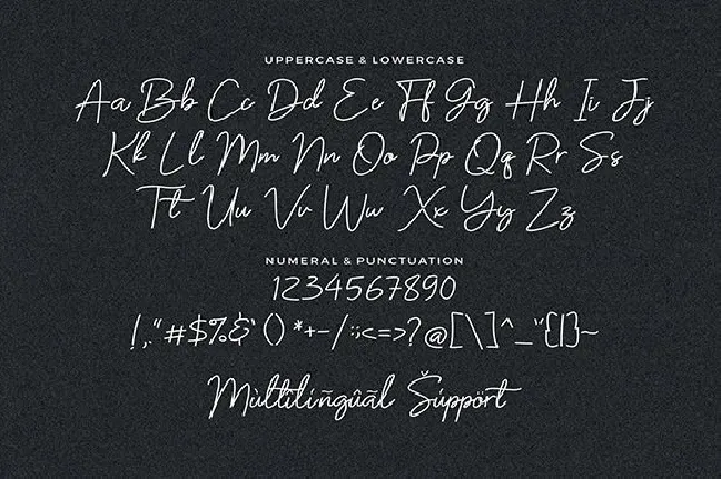 Barttany Monoline Signature font