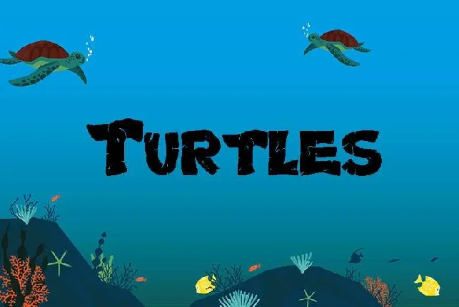 Turtles font