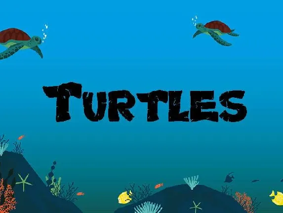 Turtles font