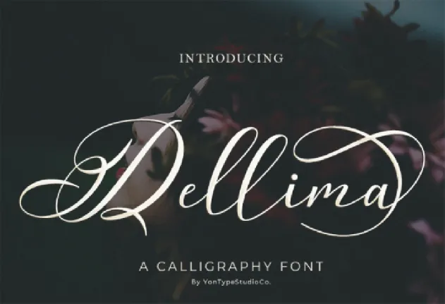 Dellima font