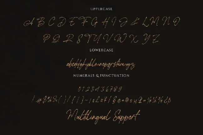 Rottis Amesty font