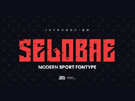 Selobae – Modern Sport font