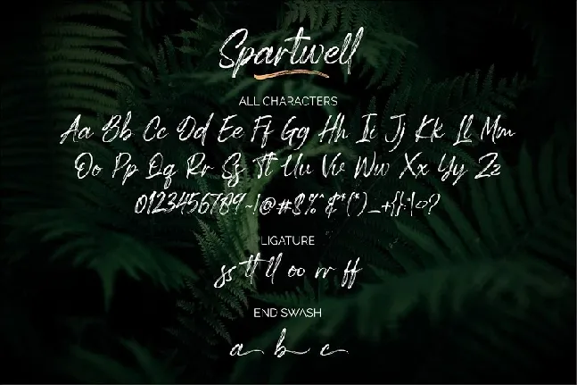 Spartwell Handwritten Brush font