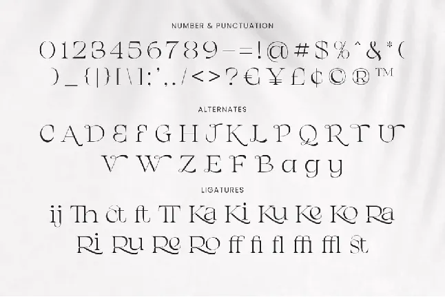 Chanceux font