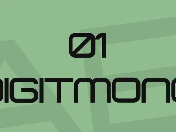 01 DigitMono font