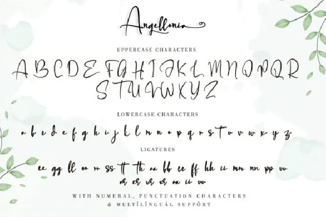 Angellonia Calligraphy font