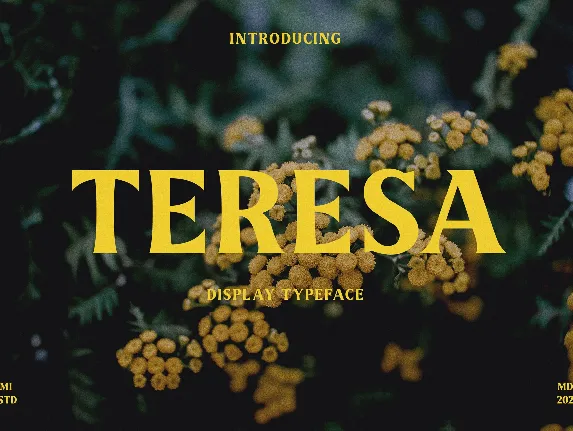 Teresa font