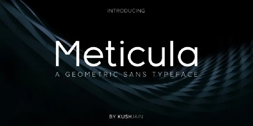 Meticula Family font