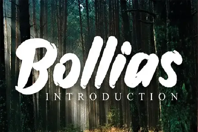 Bollias Brush font