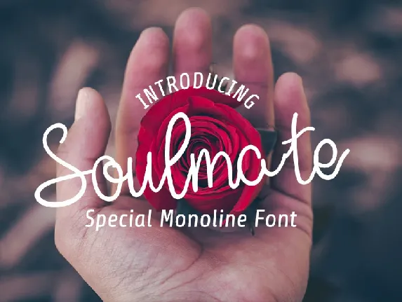 Soulmate Typeface font