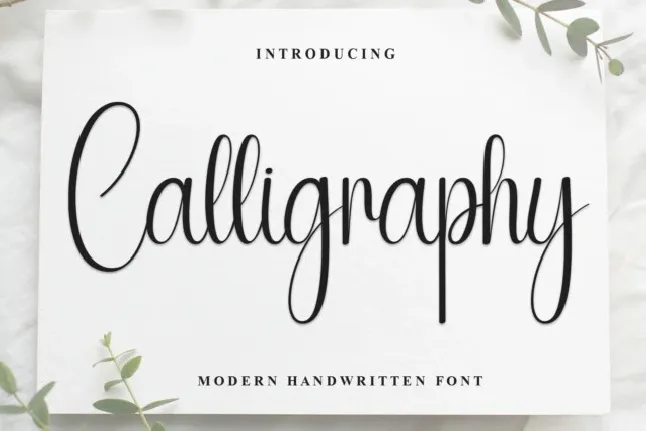 Calligraphy Script Typeface font