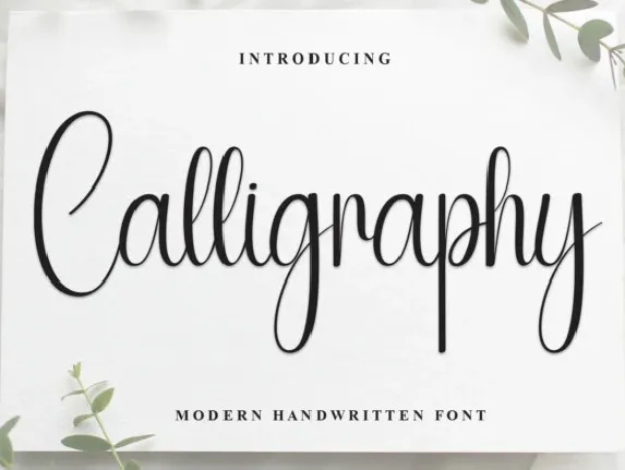 Calligraphy Script Typeface font