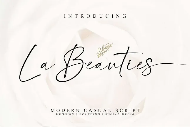 La Beauties font