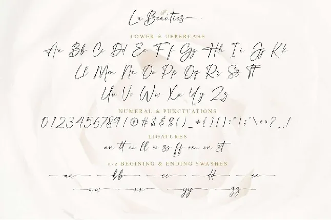 La Beauties font