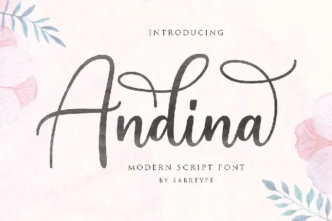 Andina font