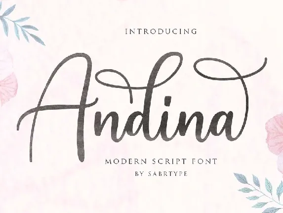 Andina font