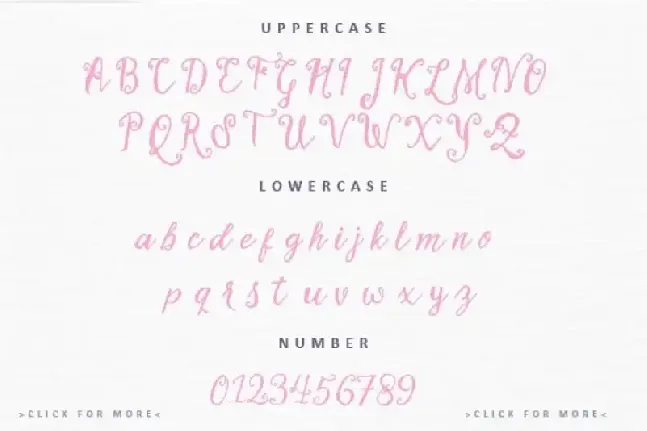 Stellanova Script Demo font