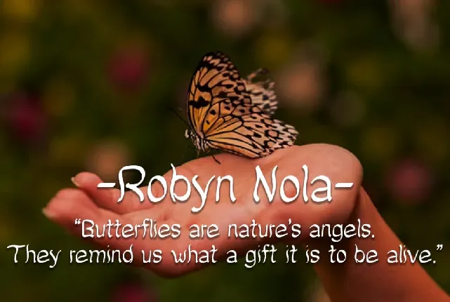 Lovely Butterfly font