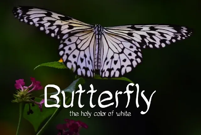 Lovely Butterfly font