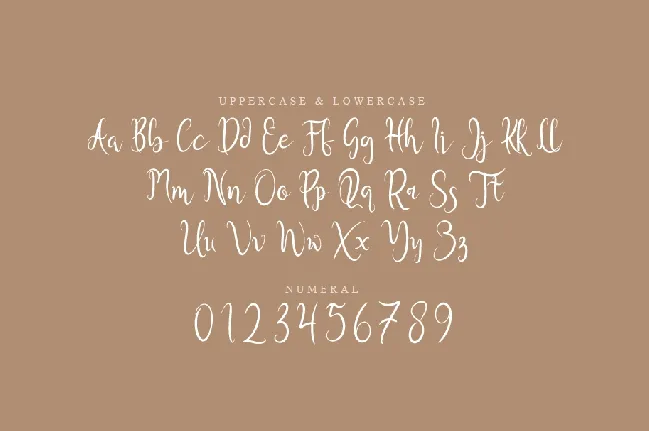 Estakn font