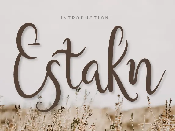 Estakn font