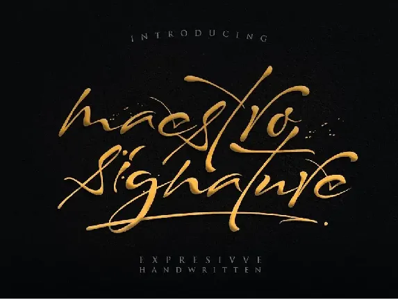 Maestro Signature font