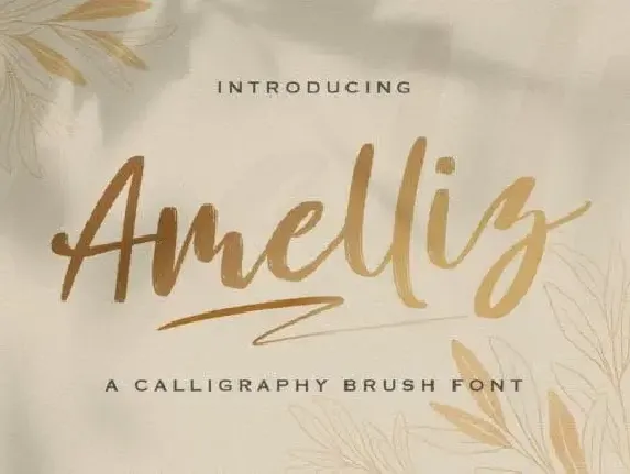 Amelliz Brush font