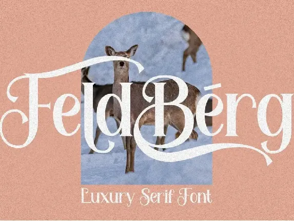 Feldberg font